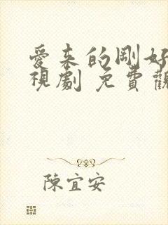 爱来的刚好 电视剧 免费观看
