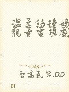 温柔的后妈在线观看电视剧免费高清完整韩剧封面