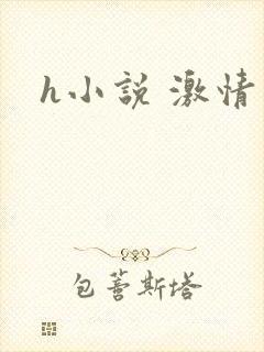 h小说 激情