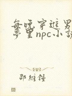 每晚穿进男神的梦里npc小说