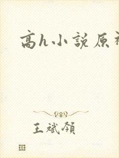 高h小说原神
