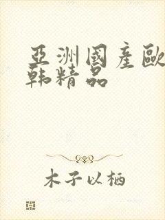 亚洲国产欧美日韩精品