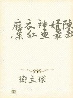 麻衣神婿陈黄皮,叶红鱼最新章节目录封面