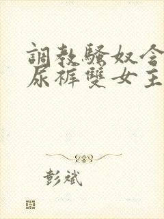 调教骚奴含着纸尿裤双女主女攻小说