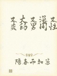 又大又深又猛又爽的男同性恋视频