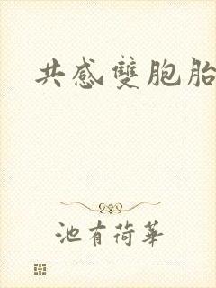 共感双胞胎小说