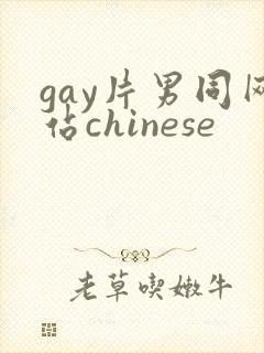 gay片男同网站chinese