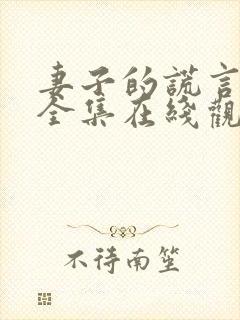 妻子的谎言短剧全集在线观看