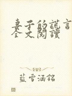 妻子的谎言小说全文阅读