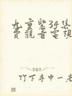 九重紫34集免费观看电视剧封面