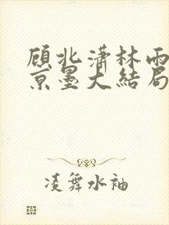 顾北潇林雨菲谢京墨大结局