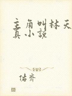 主角叫林天的修真小说