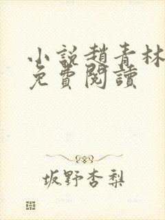 小说赵青林安澜免费阅读封面