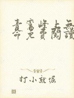 青鸾峰上无敌天命免费阅读