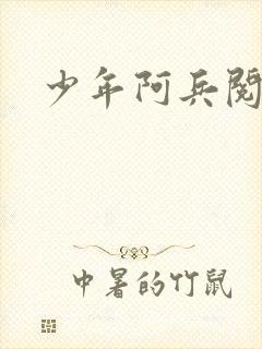 少年阿兵阅读