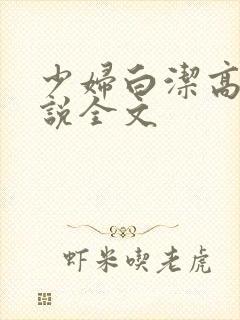 少妇白洁高义小说全文