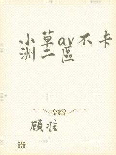 小草av不卡亚洲二区封面