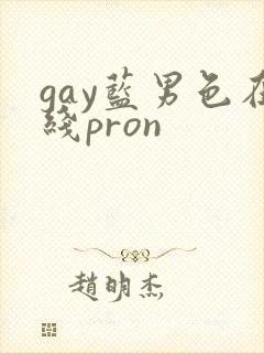 gay蓝男色在线pron