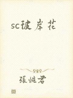 sc彼岸花封面