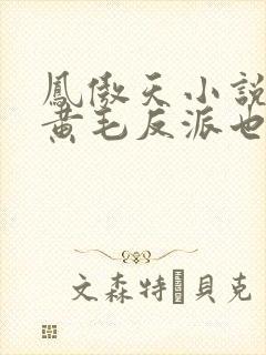 凤傲天小说里的黄毛反派也想幸福最新