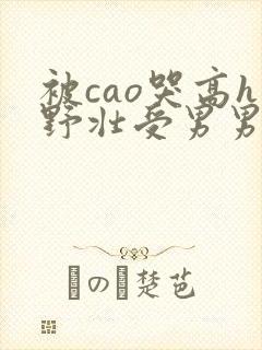被cao哭高h野壮受男男视频
