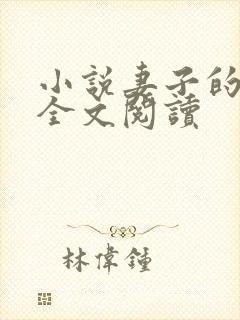 小说妻子的秘密全文阅读