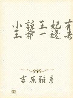 小说王妃有群,王爷一边去完整版