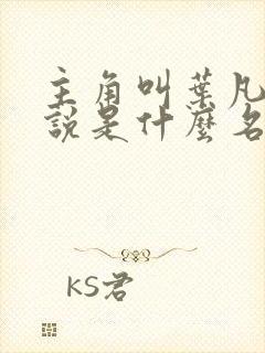 主角叫叶凡的小说是什么名字