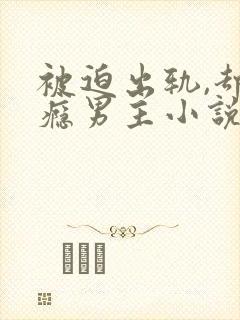 被迫出轨,却上瘾男主小说封面