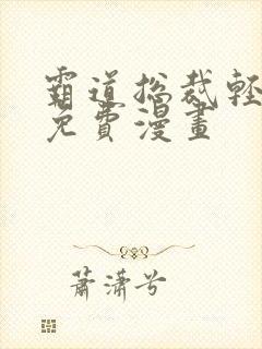 霸道总裁轻轻爱免费漫画