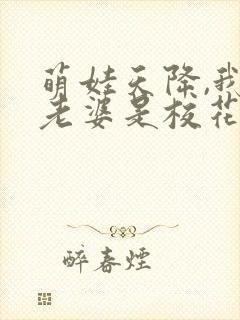 萌娃天降,我的老婆是校花短剧