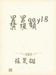 男男gay18禁视频