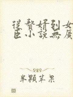 从赘婿到女帝宠臣小说无广告