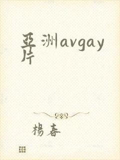 亚洲avgay片