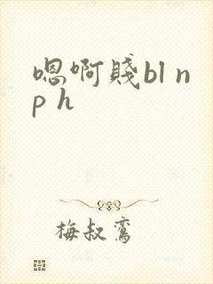 嗯啊贱bl np h