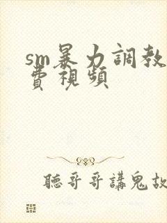 sm暴力调教免费视频