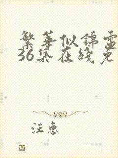 繁华似锦电视剧36集在线免费观看