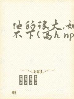 他的很大,她忍不下(高h np)小说
