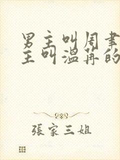 男主叫周聿珩女主叫温苒的小说封面