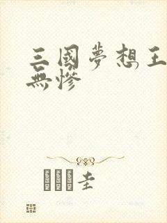 三国梦想王元姬无惨
