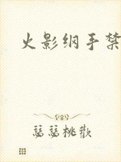 火影纲手禁