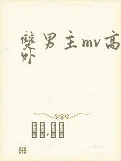 双男主mv高清外