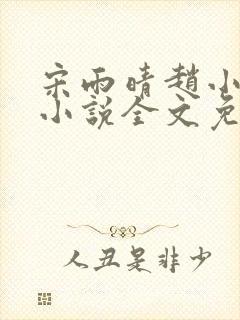 宋雨晴赵小刚的小说全文免费阅读