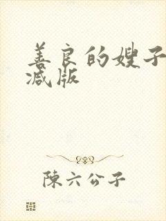 善良的嫂子无删减版封面