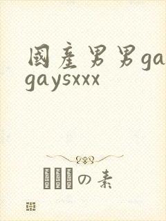 国产男男gaygaysxxx