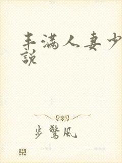 丰满人妻少妇小说