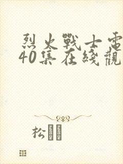 烈火战士电视剧40集在线观看封面