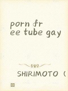 porn free tube gay封面