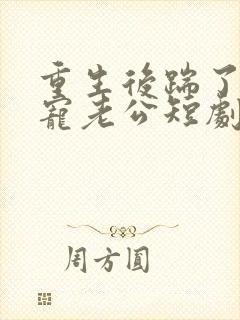 重生后踹了渣男宠老公短剧