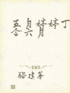 五月婷婷丁香综合六月